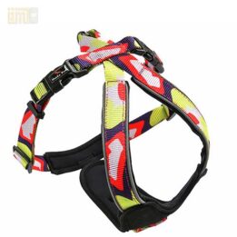 Custom dog harness | Pet factory custom | GMTPET