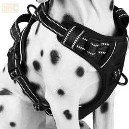 Pet Factory wholesale Amazon Ebay Wish hot large mesh dog harness 109-0001 gmtpet.online