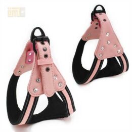 GMTPET Pet factory wholesale Pet dog car harness for girls 109-0007 gmtpet.online