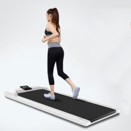 Homeuse Indoor Gym Equipment Running Machine Simple Folding Treadmill gmtpet.online