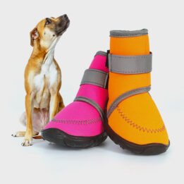 Wholesale Pet shoes 06-0998