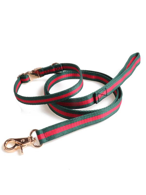 Factory Wholesale Pet Collar Nylon Webbing Dog Leash Rope Dog Collar Heavy Duty Dog Leash With Full Metal Buckle 06-1608 gmtpet.online