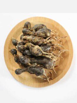 OEM & ODM Pet food freeze-dried Quail for dog and cat 130-072 gmtpet.online